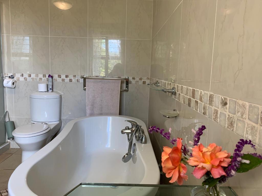 Mountain Rose Guesthouse Louis Trichardt Exterior photo